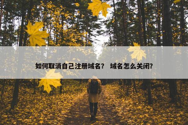 如何取消自己注册域名？ 域名怎么关闭？