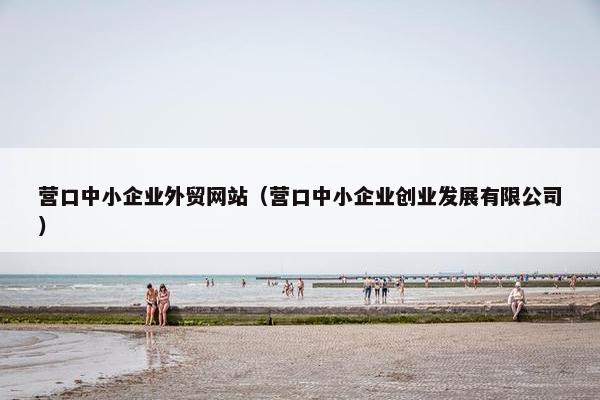 营口中小企业外贸网站（营口中小企业创业发展有限公司）