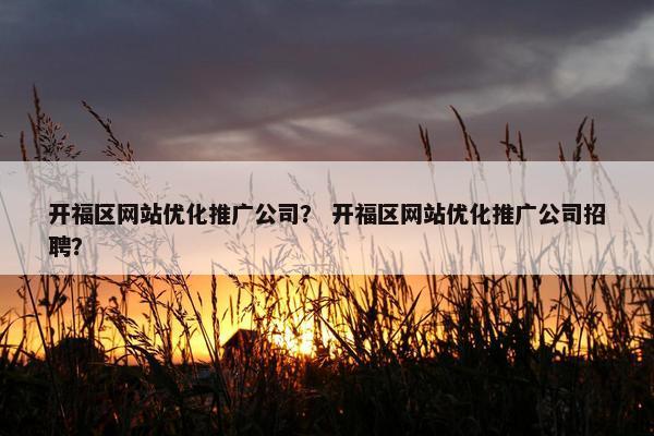 开福区网站优化推广公司？ 开福区网站优化推广公司招聘？