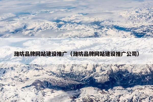 潍坊品牌网站建设推广（潍坊品牌网站建设推广公司）