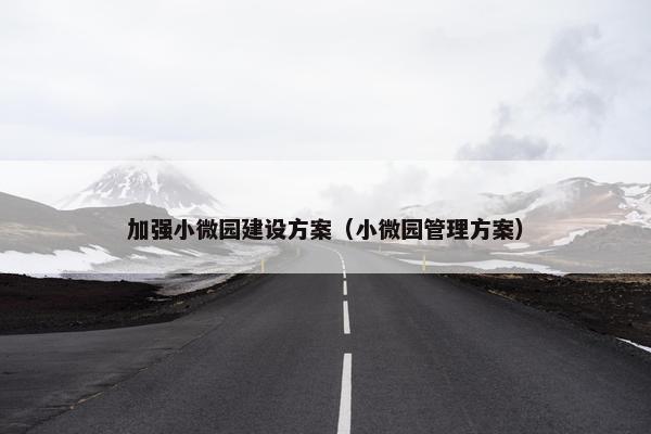 加强小微园建设方案（小微园管理方案）