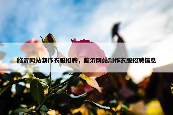 临沂网站制作衣服招聘，临沂网站制作衣服招聘信息
