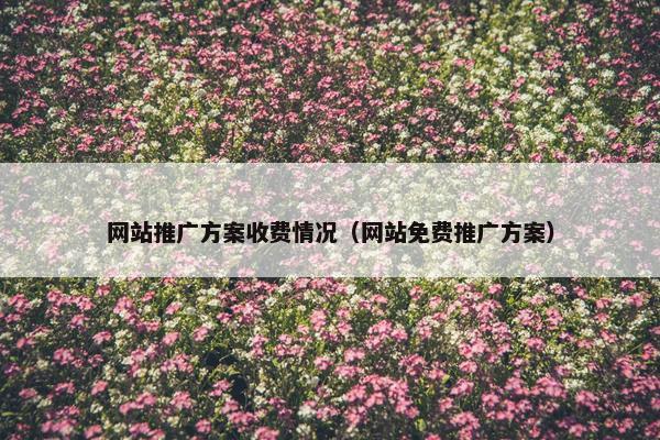 网站推广方案收费情况（网站免费推广方案）
