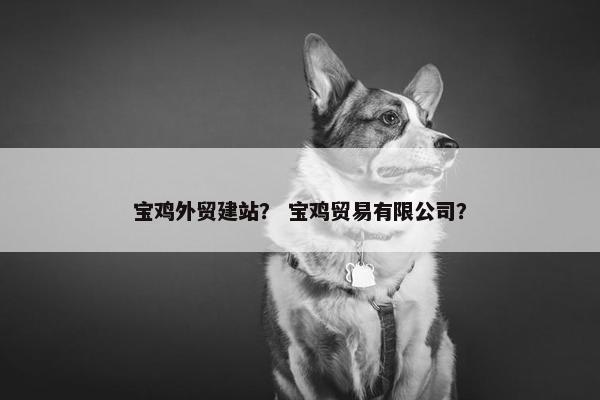 宝鸡外贸建站？ 宝鸡贸易有限公司？