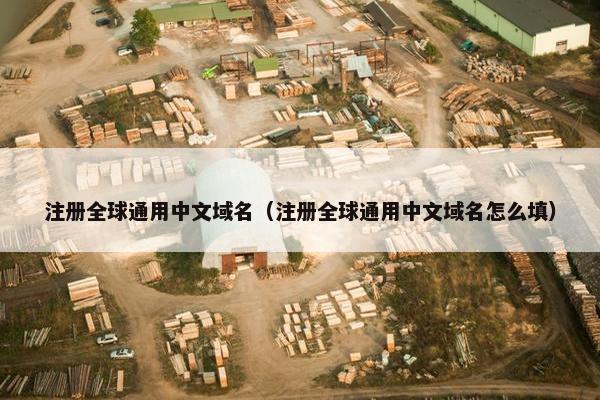 注册全球通用中文域名（注册全球通用中文域名怎么填）