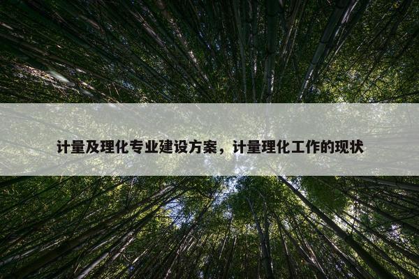 计量及理化专业建设方案，计量理化工作的现状