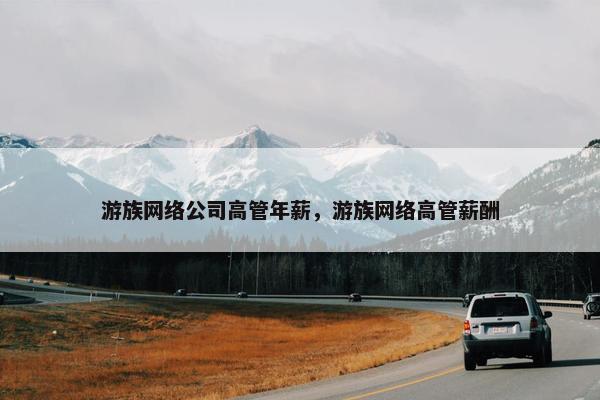 游族网络公司高管年薪，游族网络高管薪酬