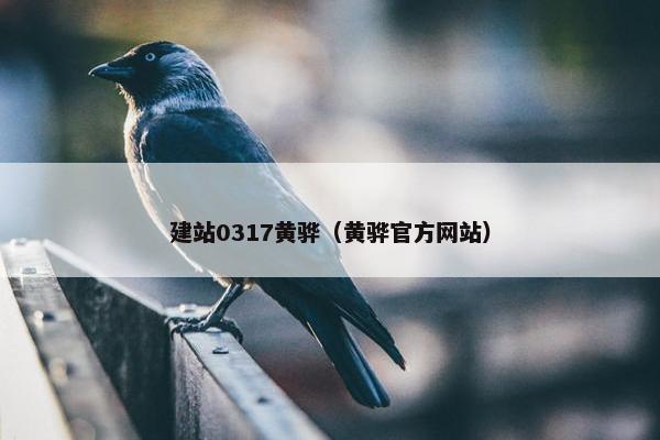 建站0317黄骅（黄骅官方网站）