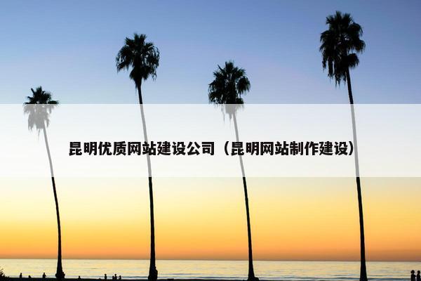 昆明优质网站建设公司（昆明网站制作建设）