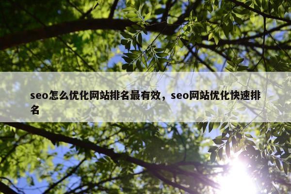 seo怎么优化网站排名最有效，seo网站优化快速排名