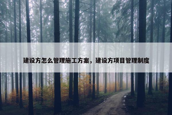 建设方怎么管理施工方案，建设方项目管理制度