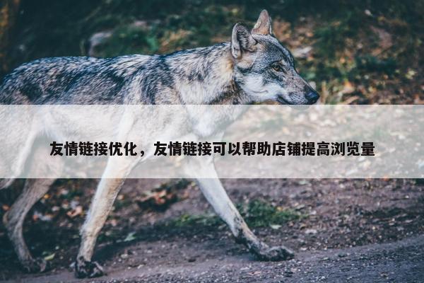 友情链接优化，友情链接可以帮助店铺提高浏览量
