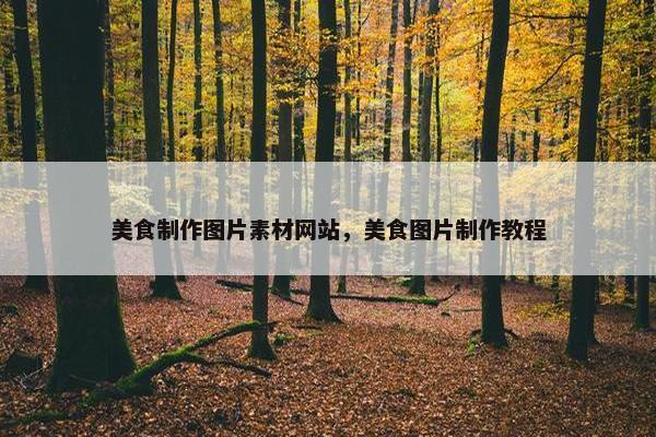 美食制作图片素材网站，美食图片制作教程