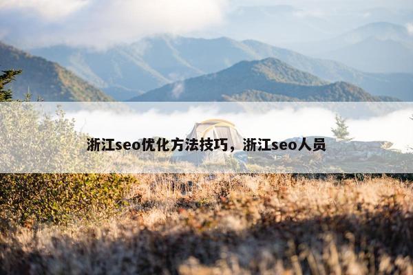 浙江seo优化方法技巧，浙江seo人员
